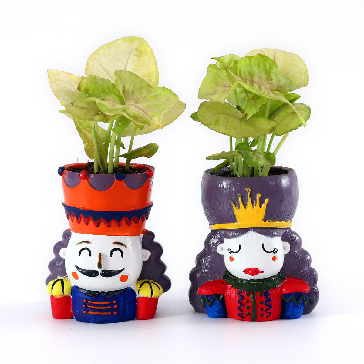 Royal Syngonium Green – King & Queen Decorative Planter Set